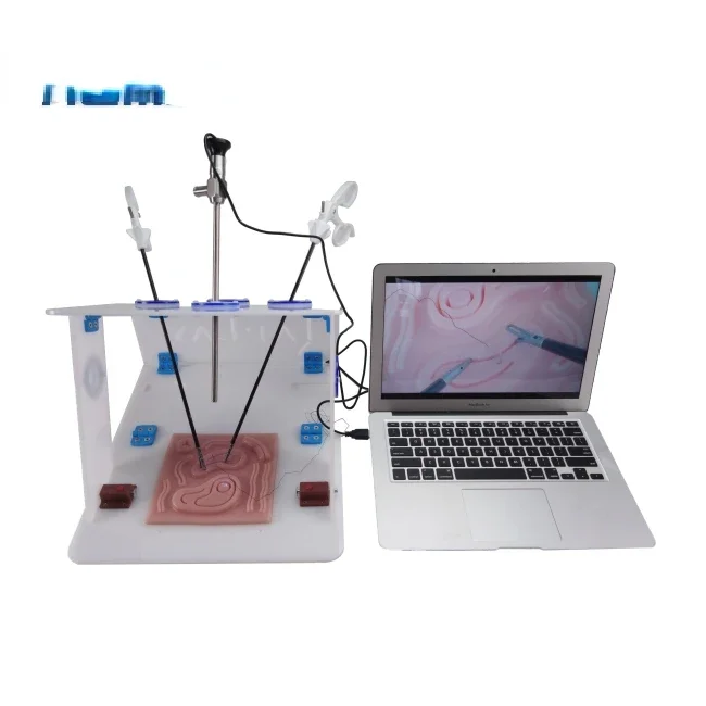 Woodworking Simulator - Laparoskopischer Endotrainer mit USB-Endoskopkamera, laparoskopische Nahttrainingssimulatorbox.